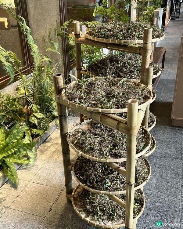 尋味潮汕·舌尖上的美食！