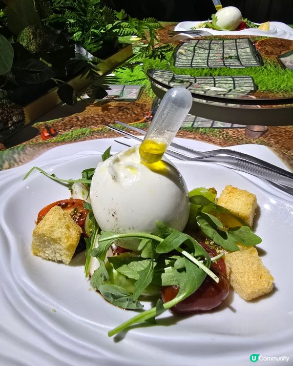 Le Petit Chef 美食之旅！😋 沉浸式體驗🍽️