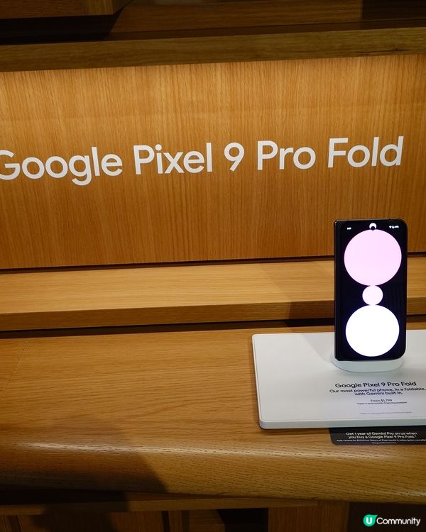 Google總部朝聖 🤩 買爆手信仲有好味Cafe!