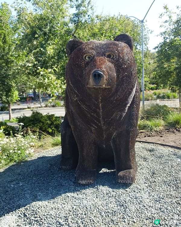 Google總部朝聖 🤩 買爆手信仲有好味Cafe!