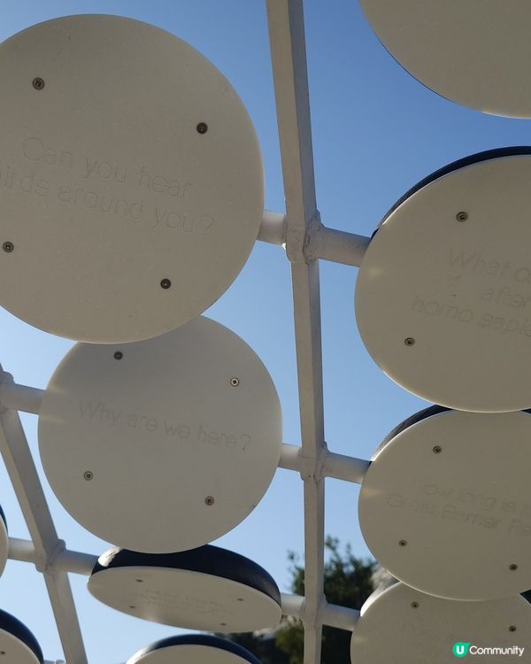 Google總部朝聖 🤩 買爆手信仲有好味Cafe!