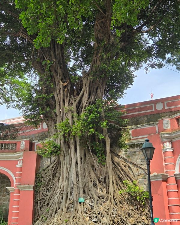 澳門篇：加思欄花園打個卡