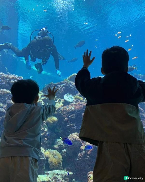 玩足一日一夜都唔夠呀