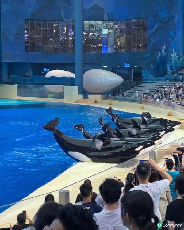 玩足一日一夜都唔夠呀