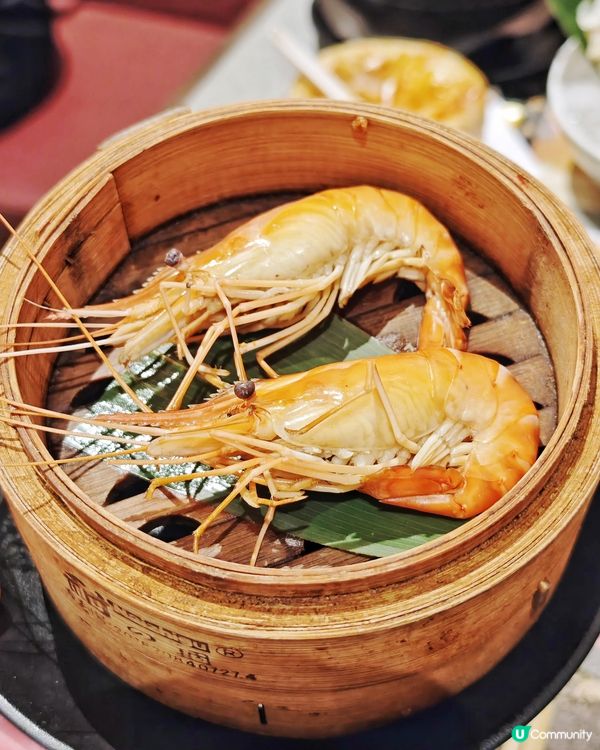 多款🎊新品🤩超驚喜🥢