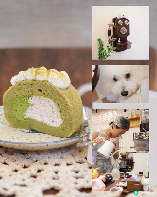 灣仔狗狗友善咖啡店！🍰 抹茶卷蛋超正！😋