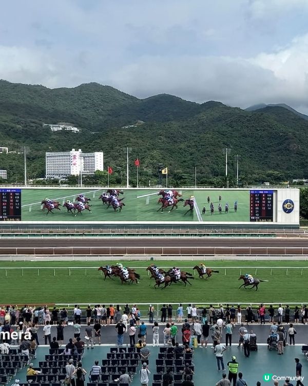 駿星匯 居高臨下享受賽馬