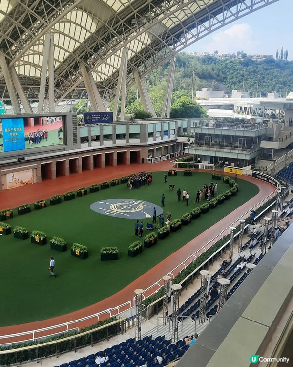 駿星匯 居高臨下享受賽馬