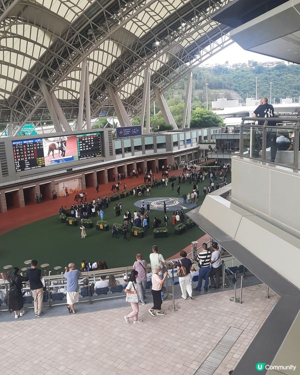 駿星匯 居高臨下享受賽馬