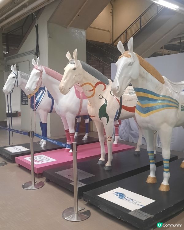 駿星匯 居高臨下享受賽馬