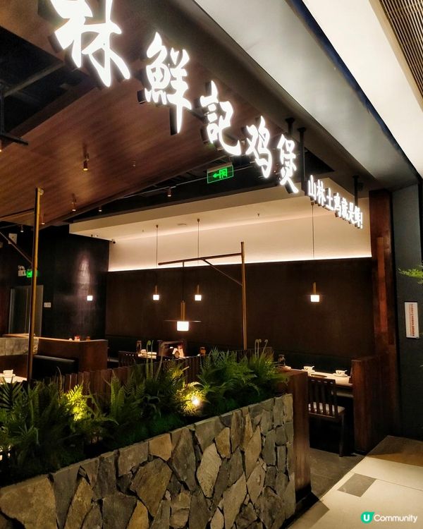 每天現熬足料無花果雞煲，第4分店就在華強北！