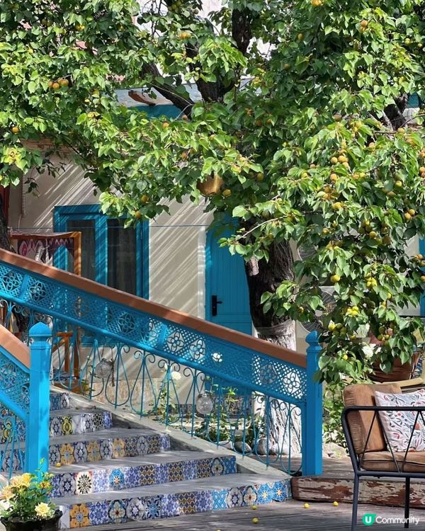 伊寧美食之旅🤤！手抓飯烤包子😋！美食美景🩷