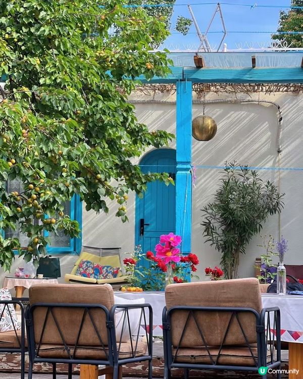 伊寧美食之旅🤤！手抓飯烤包子😋！美食美景🩷