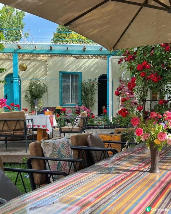 伊寧美食之旅🤤！手抓飯烤包子😋！美食美景🩷