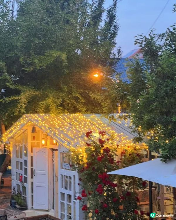 伊寧美食之旅🤤！手抓飯烤包子😋！美食美景🩷