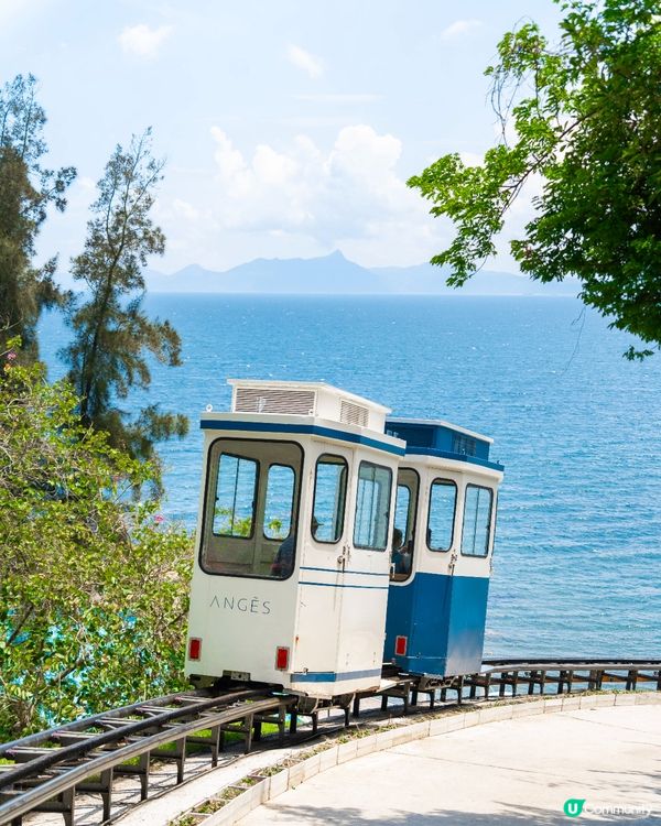 深圳玻璃海🌊睇小鹿！浪漫一日遊😍