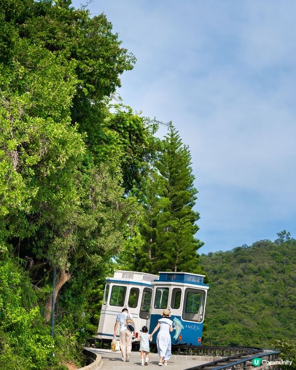 深圳玻璃海🌊睇小鹿！浪漫一日遊😍