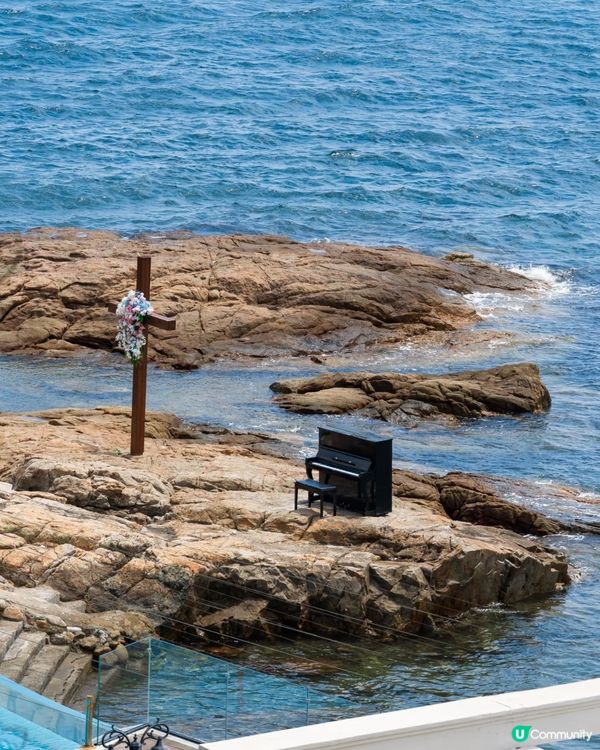 深圳玻璃海🌊睇小鹿！浪漫一日遊😍