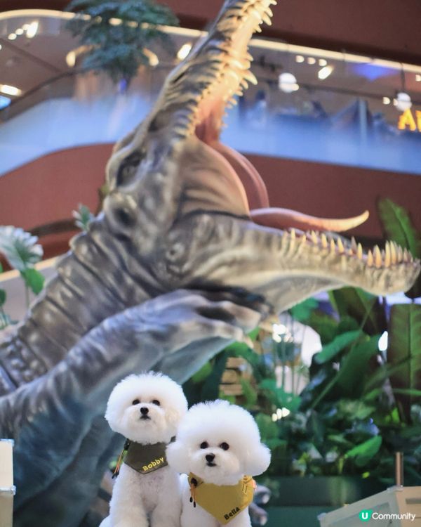 🦕 AIRSIDE之侏羅紀世界重生? ! 