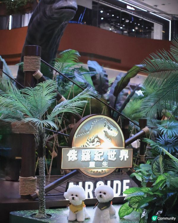 🦕 AIRSIDE之侏羅紀世界重生? ! 