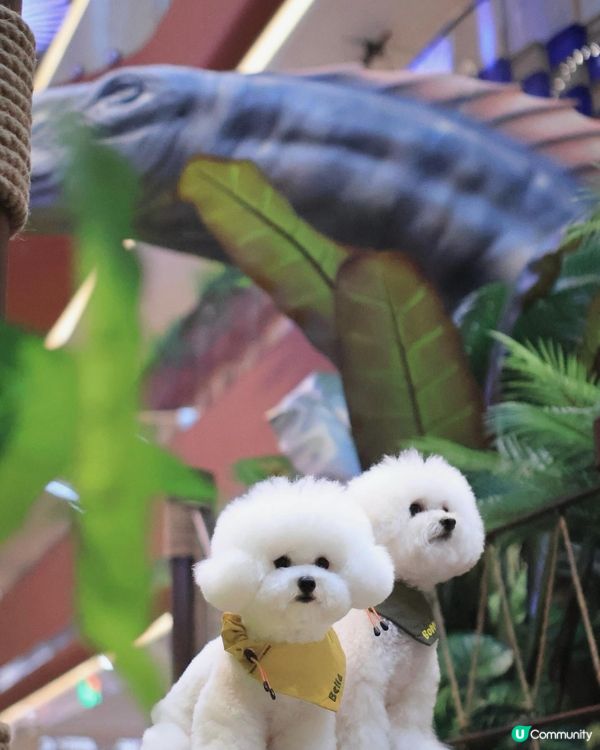 🦕 AIRSIDE之侏羅紀世界重生? ! 