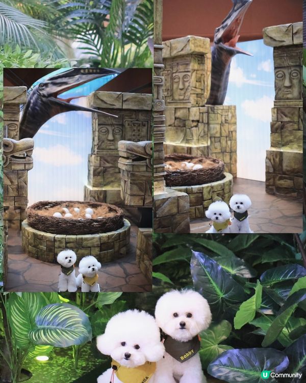 🦕 AIRSIDE之侏羅紀世界重生? ! 