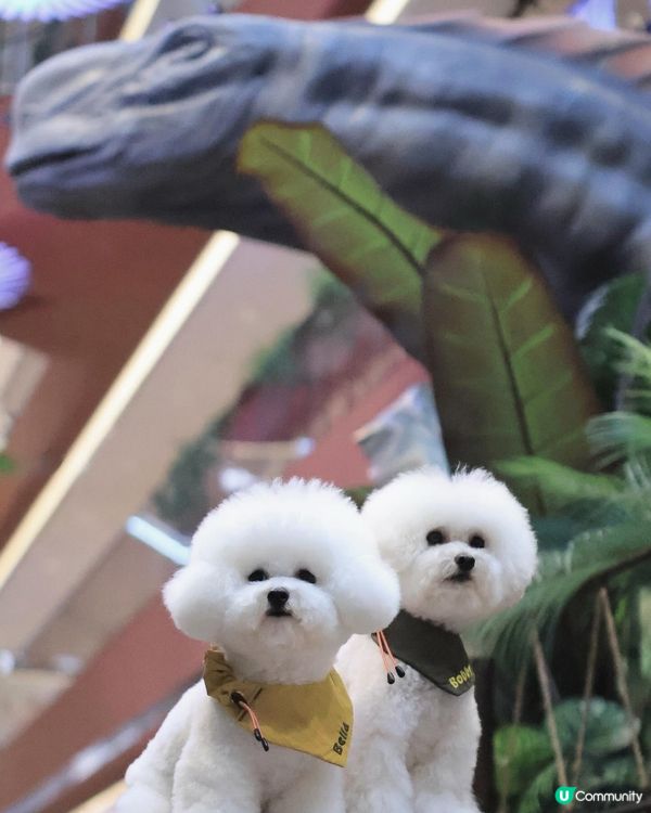 🦕 AIRSIDE之侏羅紀世界重生? ! 