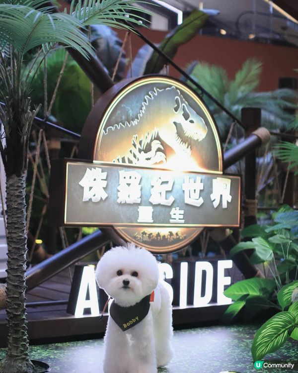 🦕 AIRSIDE之侏羅紀世界重生? ! 