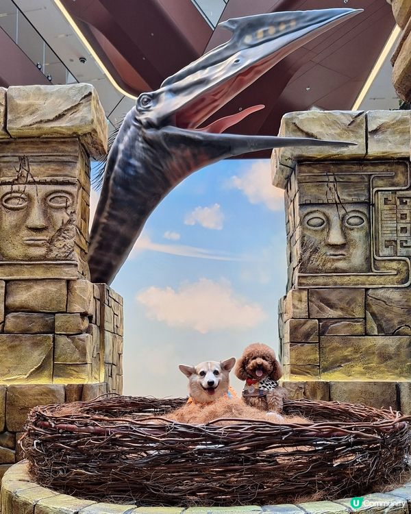 侏羅紀世界快閃店🦖！暴龍孵化等你嚟！