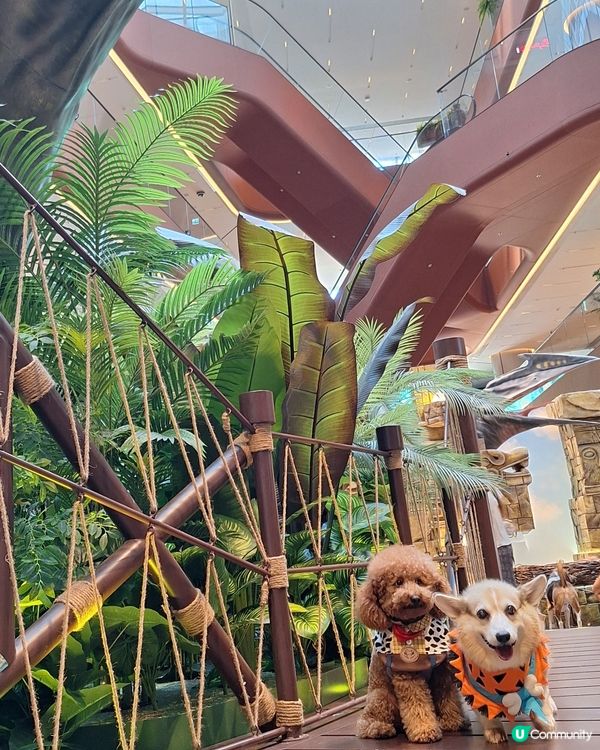 侏羅紀世界快閃店🦖！暴龍孵化等你嚟！