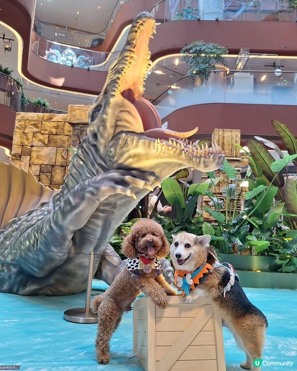 侏羅紀世界快閃店🦖！暴龍孵化等你嚟！