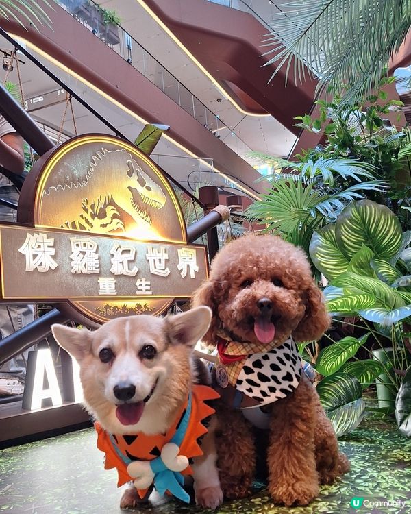 侏羅紀世界快閃店🦖！暴龍孵化等你嚟！