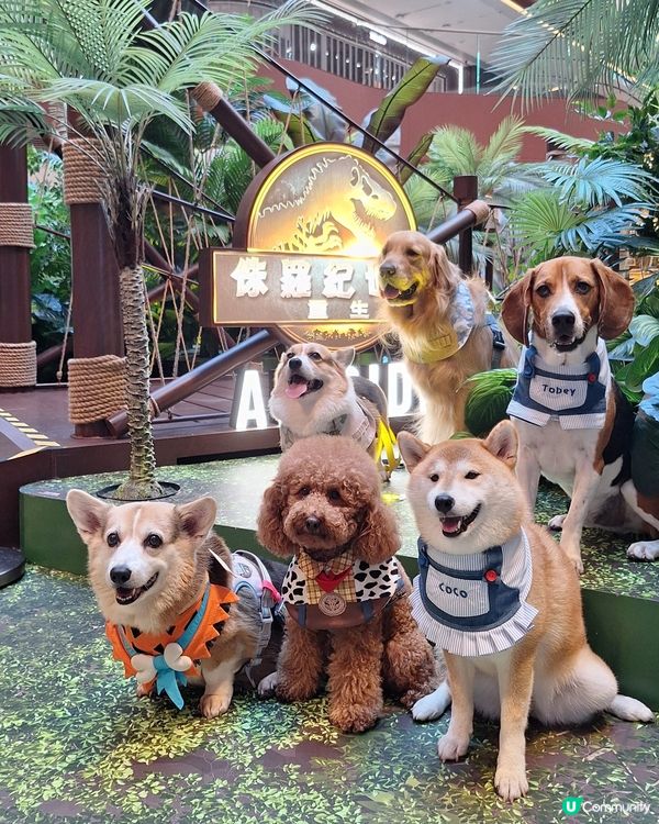 侏羅紀世界快閃店🦖！暴龍孵化等你嚟！