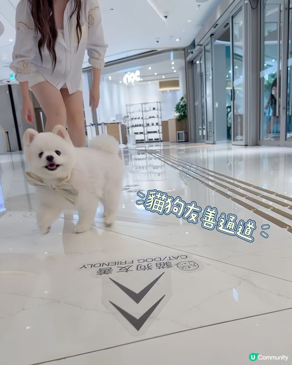 The Southside放電之旅！🐾🚗