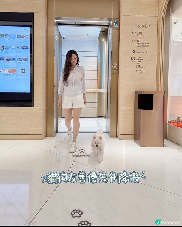 The Southside放電之旅！🐾🚗