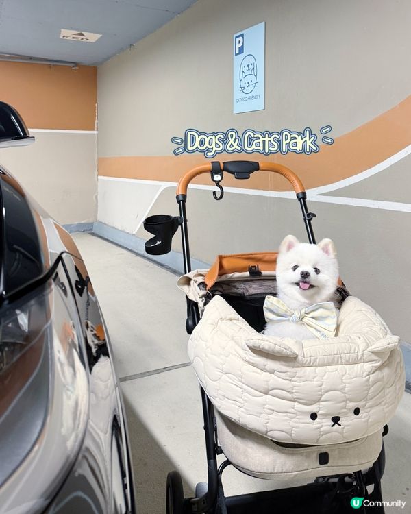 The Southside放電之旅！🐾🚗