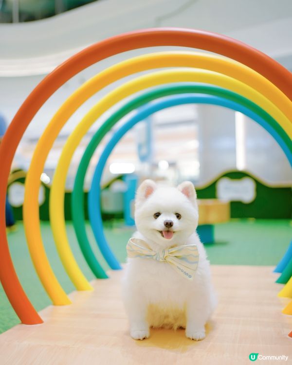 The Southside放電之旅！🐾🚗