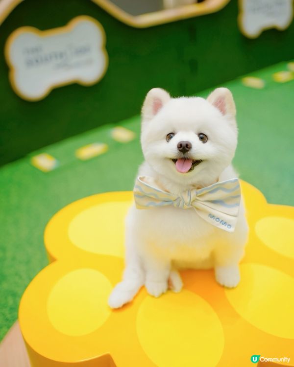 The Southside放電之旅！🐾🚗