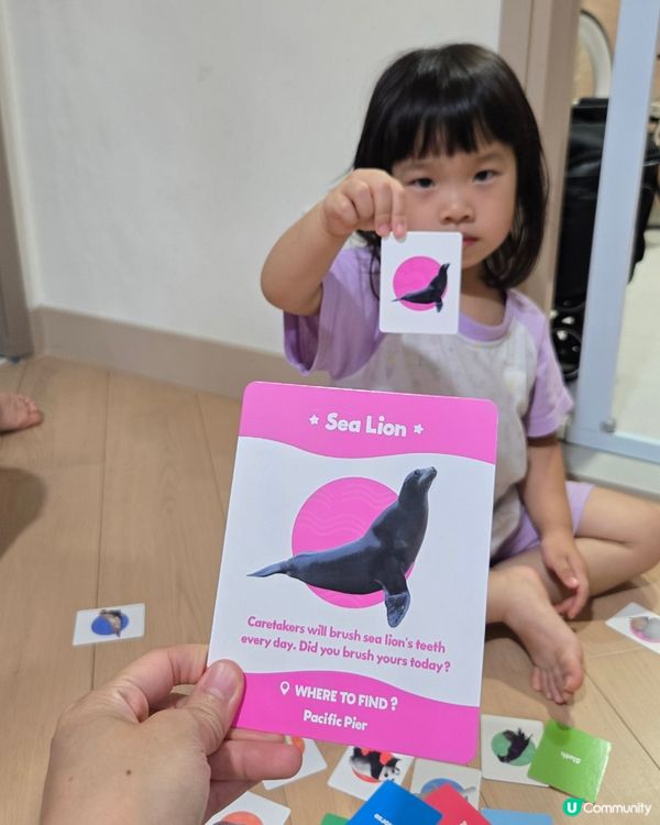 海洋公園授權遊戲卡🃏