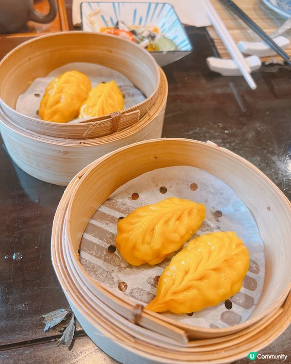 金鐘飲茶新據點☕️蝦餃燒賣配🍃 陳年普洱書香盛宴🫶🏻