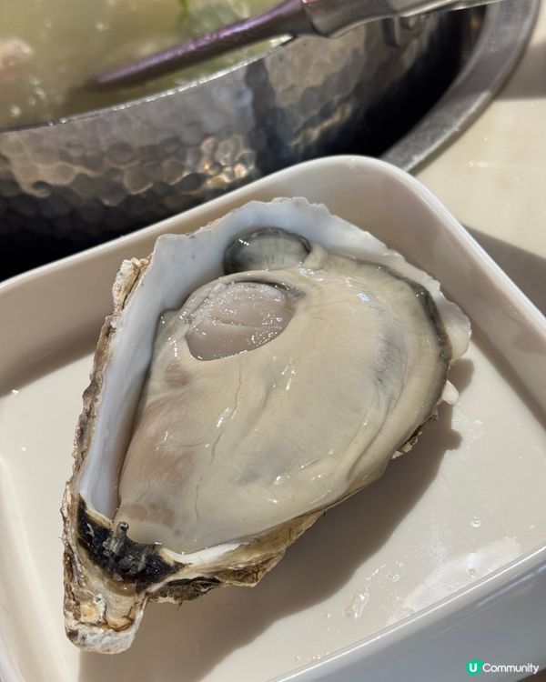 愛尚牛鼎記 ｜ 潮汕牛肉火鍋🍲