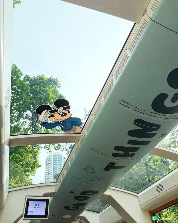 迪士尼粉絲注意！山頂纜車變身盛夏慶典 🏖️