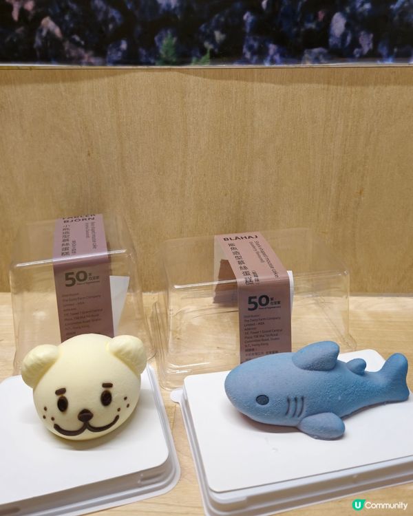 鯊鯊蛋糕勁吸睛！😍 熊仔頭都好可愛！🍰