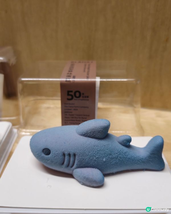 鯊鯊蛋糕勁吸睛！😍 熊仔頭都好可愛！🍰