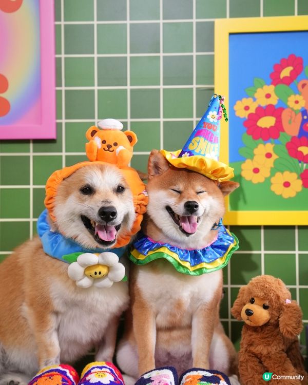 Wiggle Wiggle Airside限定店😍