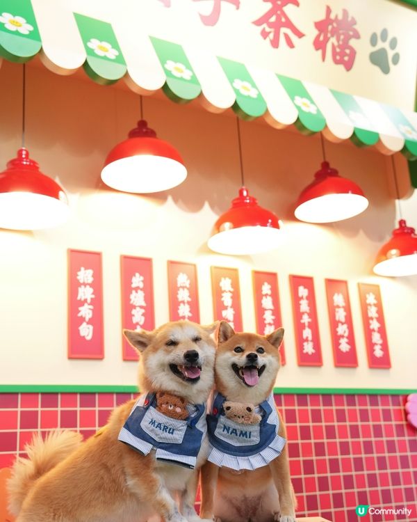 Wiggle Wiggle Airside限定店😍