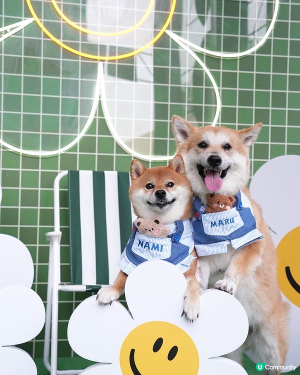 Wiggle Wiggle Airside限定店😍