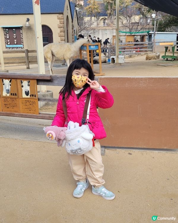 神戶王子公園🎡！玩樂參觀兩不誤🥳！