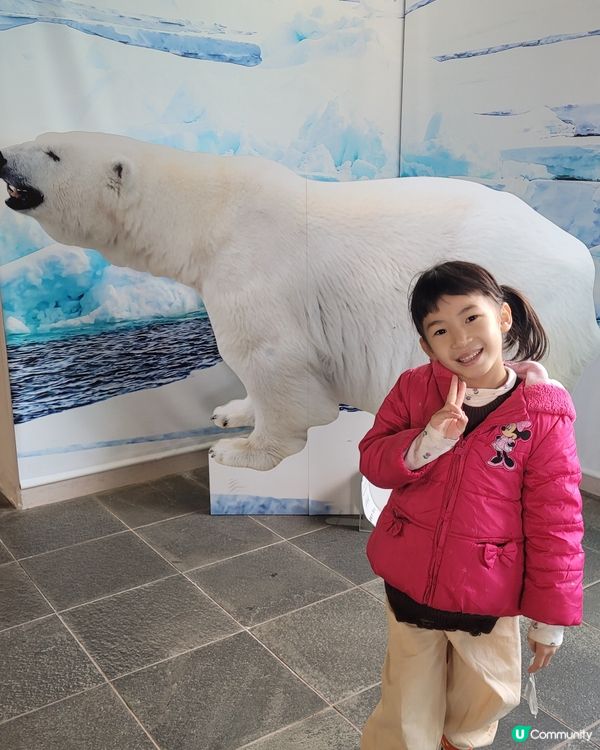 神戶王子公園🎡！玩樂參觀兩不誤🥳！