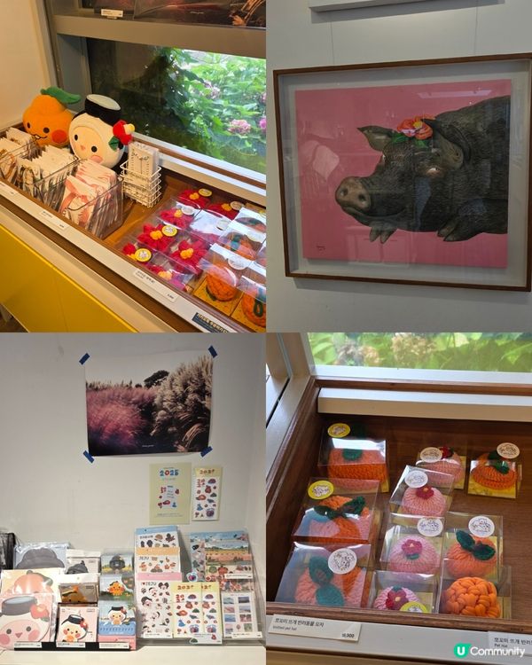 山茶花之丘🩷💙💜繡球花海打卡📸